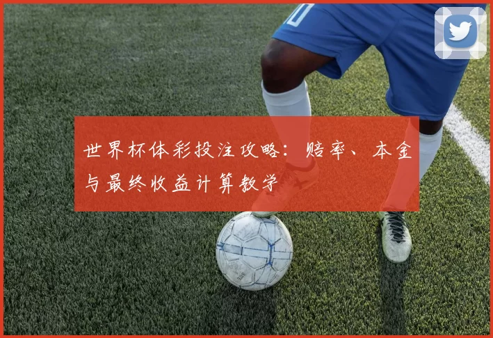世界杯体彩投注攻略：赔率、本金与最终收益计算教学