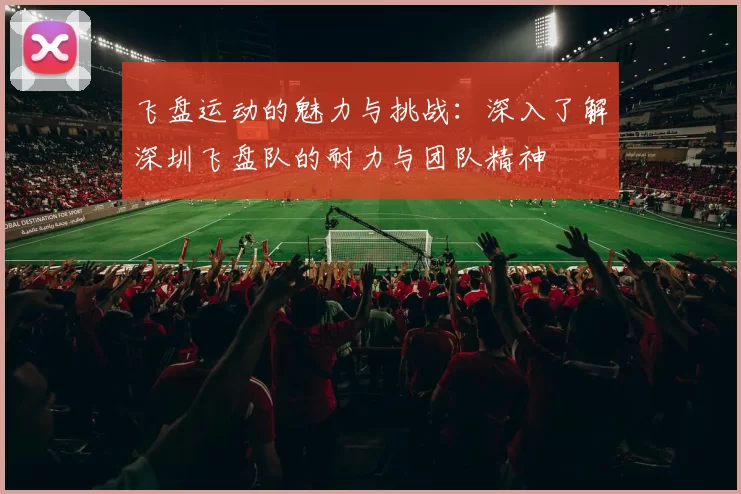 飞盘运动的魅力与挑战:深入了解深圳飞盘队的耐力与团队精神