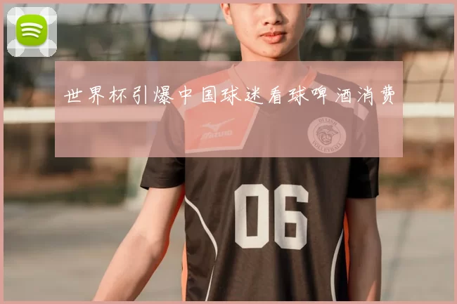 世界杯引爆中国球迷看球啤酒消费