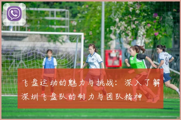 飞盘运动的魅力与挑战:深入了解深圳飞盘队的耐力与团队精神