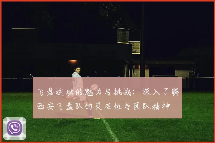 飞盘运动的魅力与挑战:深入了解西安飞盘队的灵活性与团队精神