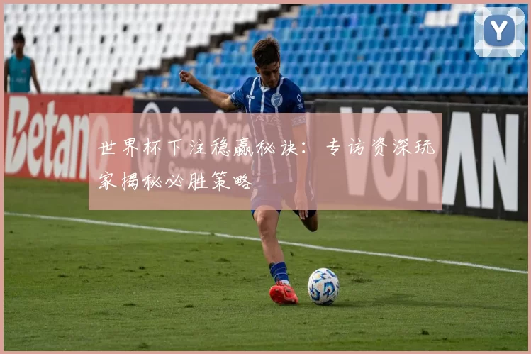 世界杯下注稳赢秘诀:专访资深玩家揭秘必胜策略