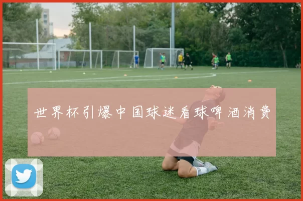 世界杯引爆中国球迷看球啤酒消费