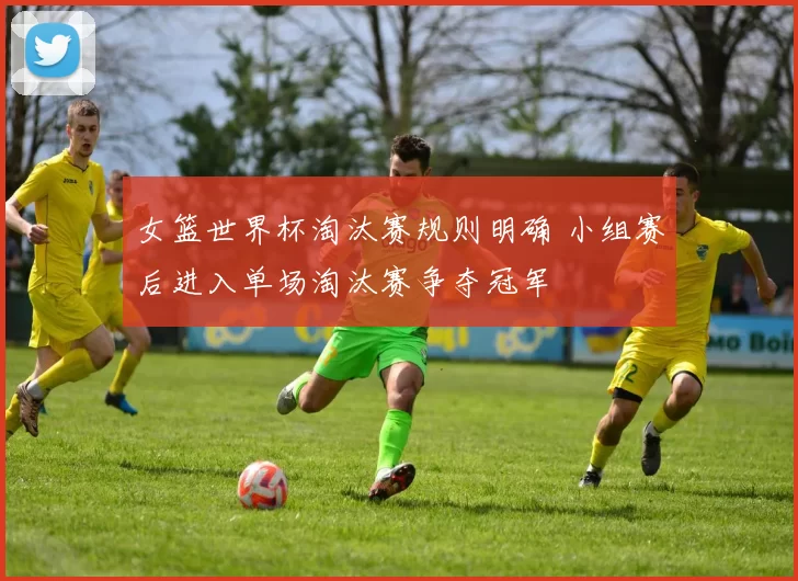 女篮世界杯淘汰赛规则明确 小组赛后进入单场淘汰赛争夺冠军