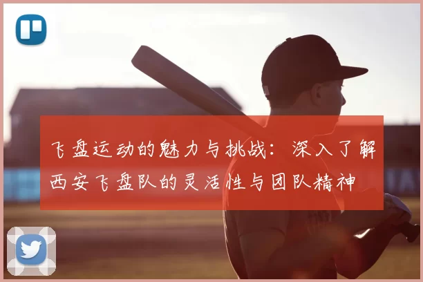 飞盘运动的魅力与挑战：深入了解西安飞盘队的灵活性与团队精神