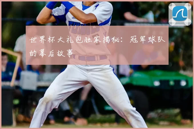 世界杯大礼包独家揭秘:冠军球队的幕后故事